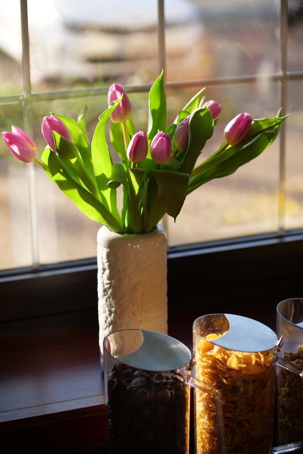 ברגהיים Parkhotel Bergheim מראה חיצוני תמונה